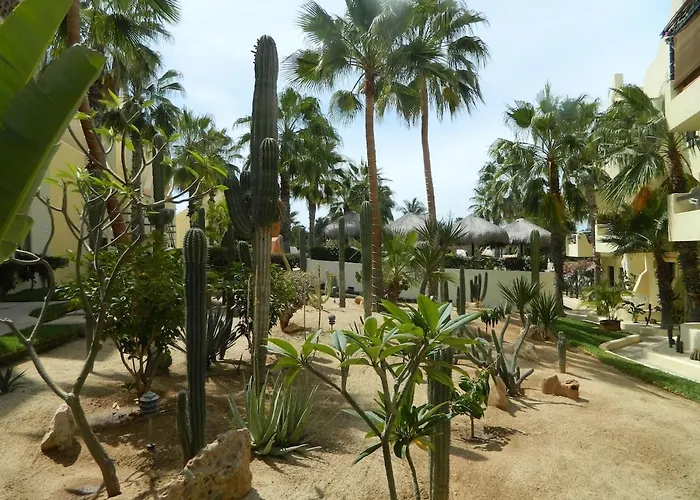 Apartment Club La Costa Zone Beautiful 1 Bedroom Across From The *